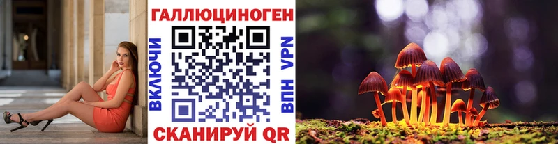 Купить закладки  Тулун  Псилоцибиновые грибы MAGIC MUSHROOMS 