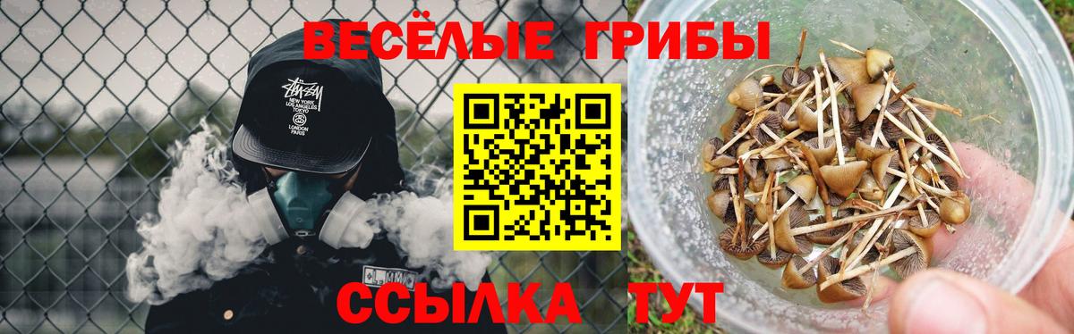 Псилоцибиновые грибы мухоморы Тулун