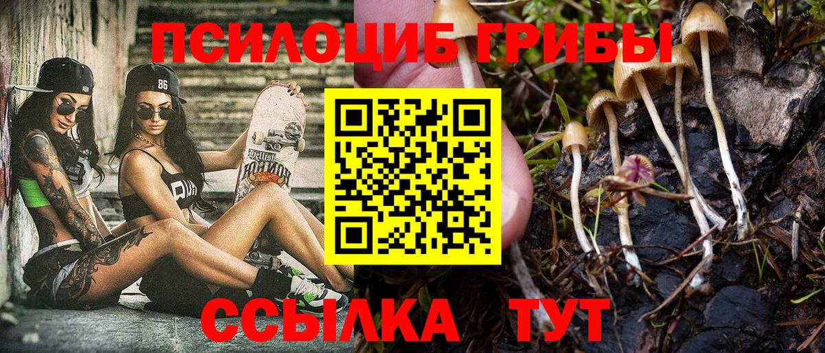 Псилоцибиновые грибы MAGIC MUSHROOMS Тулун