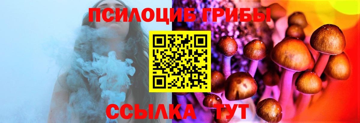Галлюциногенные грибы Psilocybe  Тулун  Псилоцибиновые грибы мухоморы 